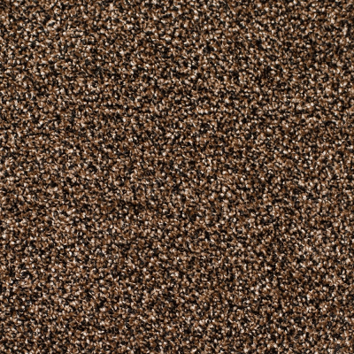 Legacy Twist Carpet, Color: Bee Hive