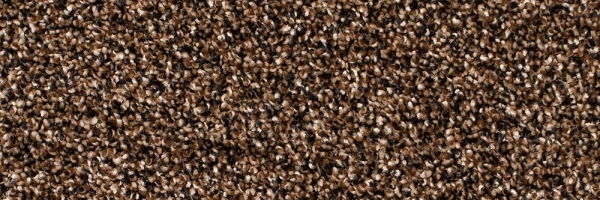 Bee Hive Legacy Twist Carpet, Color: Bee Hive