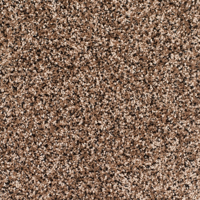 Legacy Twist Carpet, Color: Black Tan