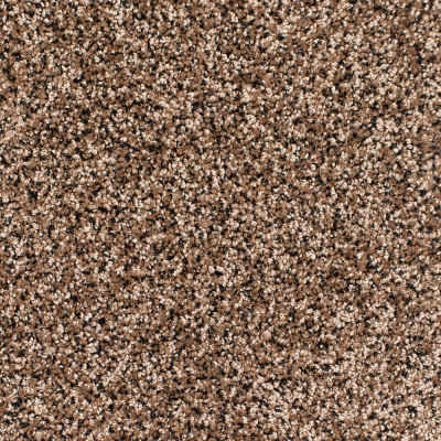 Legacy Twist Carpet, Color: Black Tan