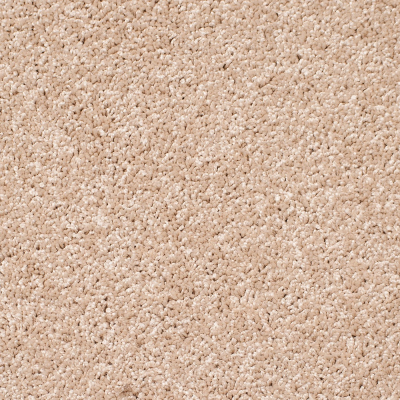 Legacy Twist Carpet, Color: Cream