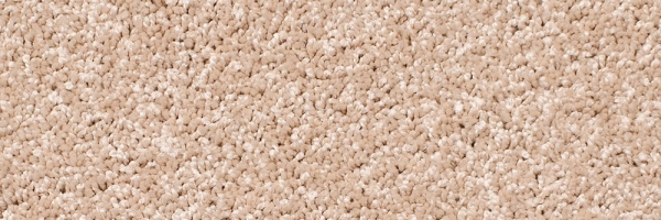 Cream Legacy Twist Carpet, Color: Cream