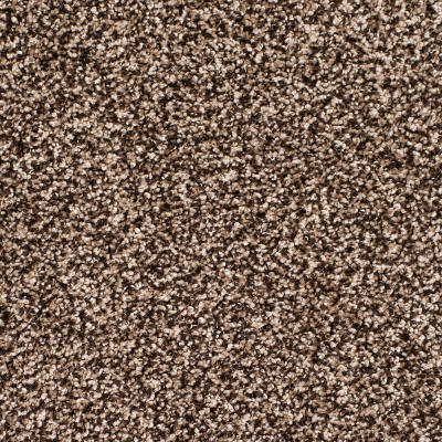 Legacy Twist Carpet, Color: Honey Spice