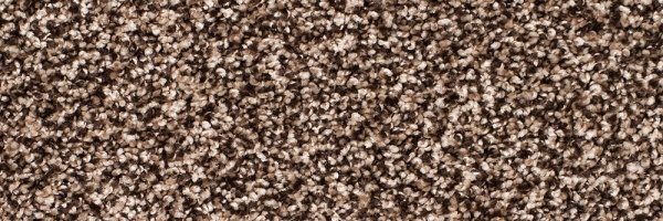 Honey Spice Legacy Twist Carpet, Color: Honey Spice