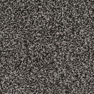 Legacy Twist Carpet, Color: Iron Clad