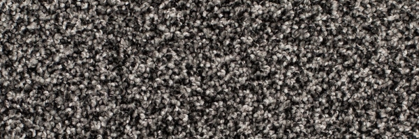 Iron Clad Legacy Twist Carpet, Color: Iron Clad