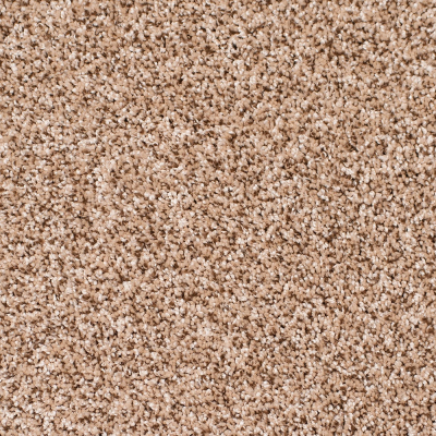 Legacy Twist Carpet, Color: Mocha Swirl