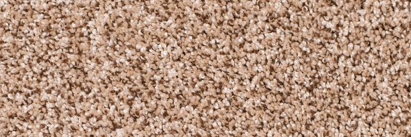 Mocha Swirl Legacy Twist Carpet, Color: Mocha Swirl