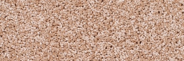 Pearl Legacy Twist Carpet, Color: Pearl