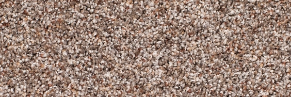 Sherwood Legacy Twist Carpet, Color: Sherwood