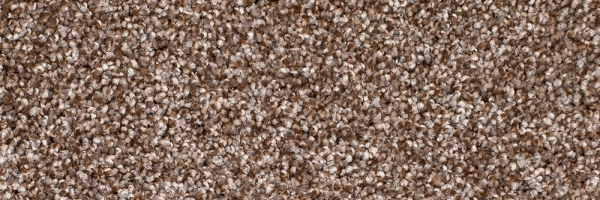Tawny Birch Legacy Twist Carpet, Color: Tawny Birch