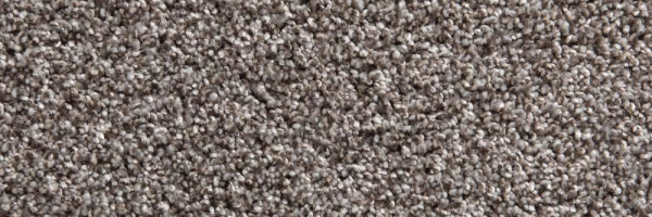Musket Grey Legacy Twist Carpet, Color: Musket Grey