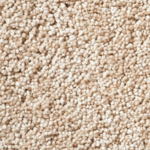 Infinity / Royalty Carpet - Oatmeal