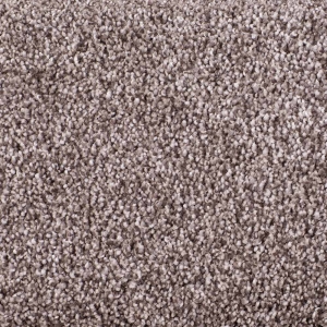 Infinity / Royalty / Devonshire Carpet - London Fog