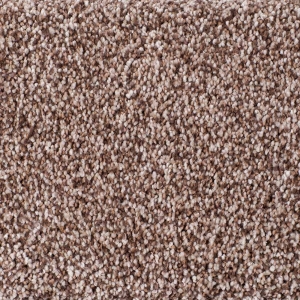 Infinity / Royalty / Devonshire Carpet - Navajo