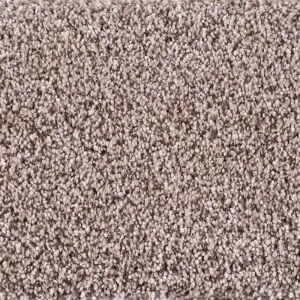 Infinity / Royalty / Devonshire Carpet - Newport