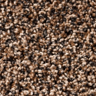 Sixth Sense / Cordova Carpet - Snake Skin
