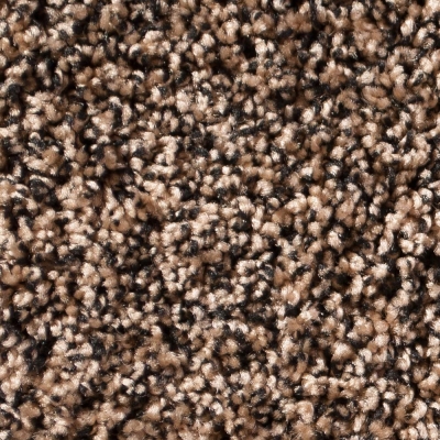 Luxor / Athena Carpet - Black Tan