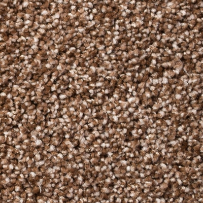 Market Place / Crusade Carpet - Rich Oak