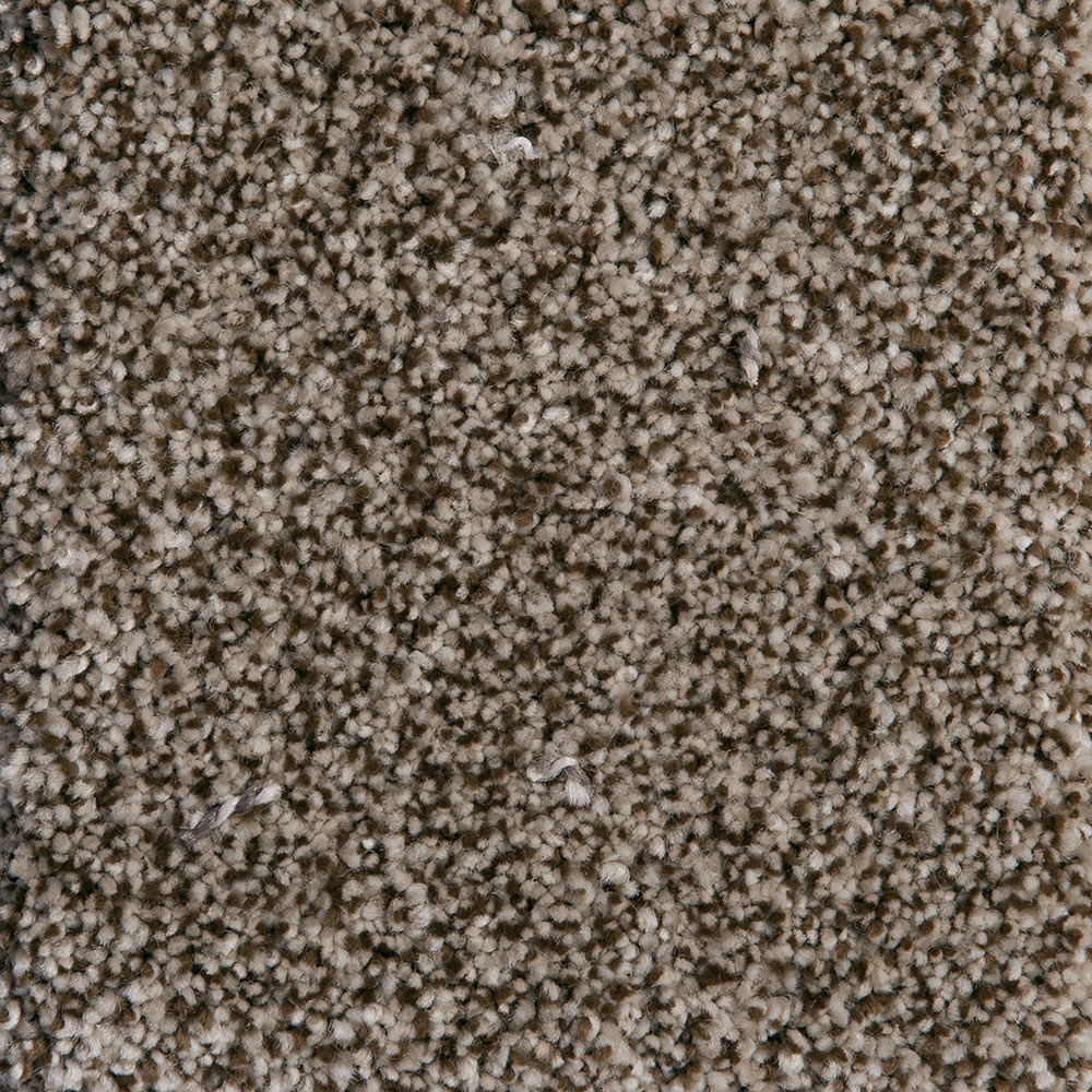 Carpet: Centennial, Ice Coffee