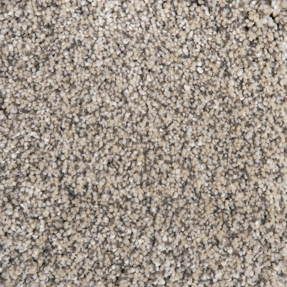 Carpet: Centennial, Pebble Path