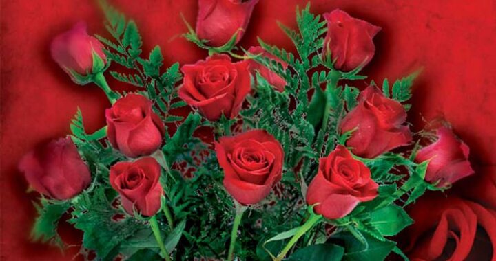Image of one dozen red roses
