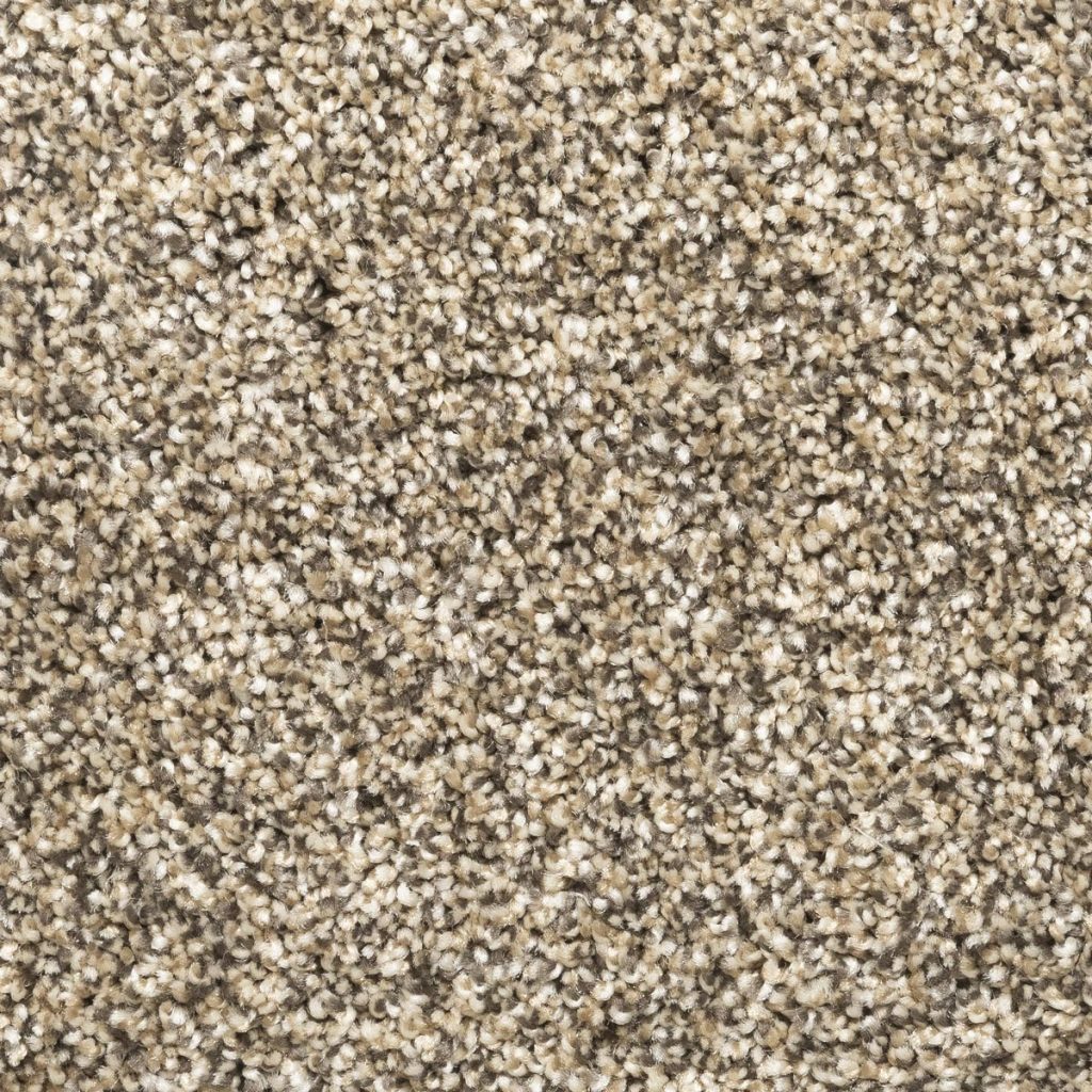 Carpet: Legacy Plus Cappuccino