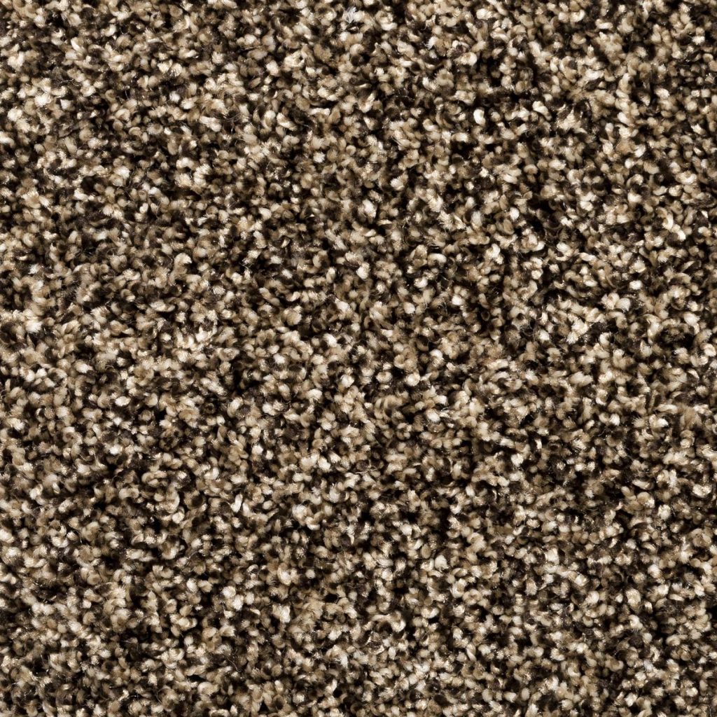 Carpet: Legacy Plus Honey Spice