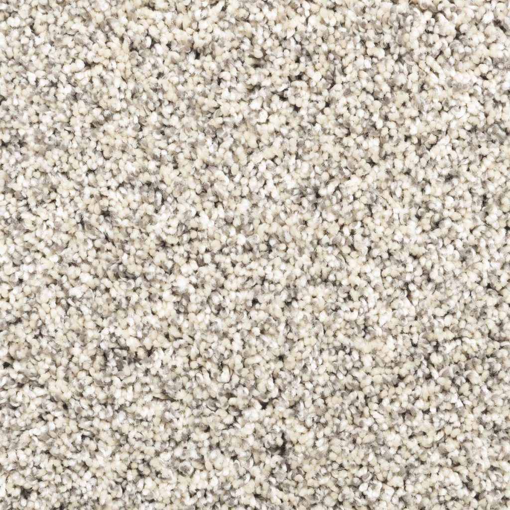 Carpet: Legacy Plus Pebble Path