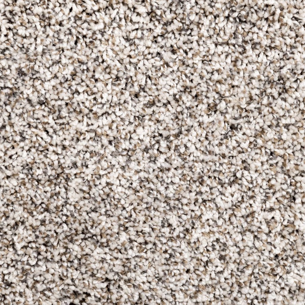 Carpet: Legacy Plus Silver Fox