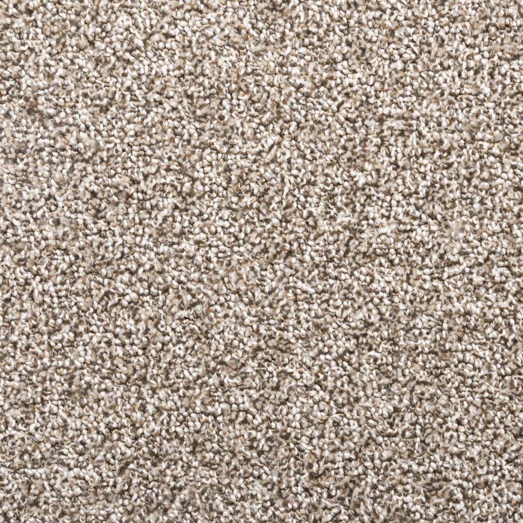 Photo of sheared loop carpet: Rhapsody Elation