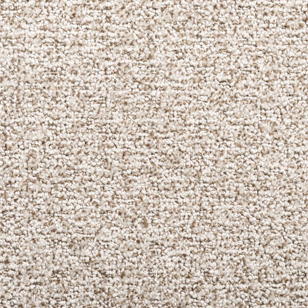 Photo of sheared loop carpet: Rhapsody Enchanted