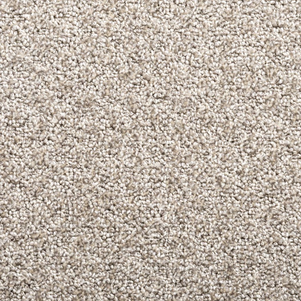 Photo of sheared loop carpet: Rhapsody Euphoria