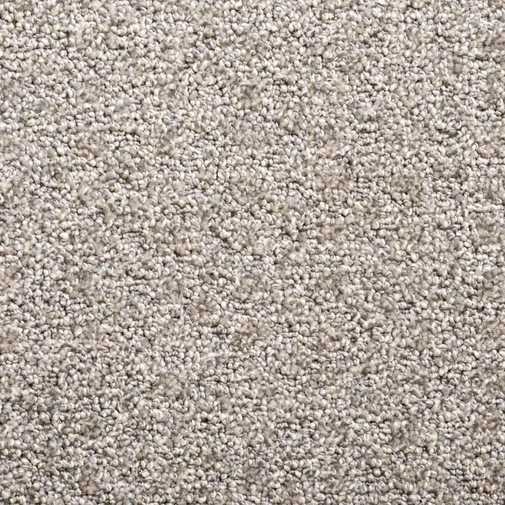 Photo of sheared loop carpet: Rhapsody Fantasia