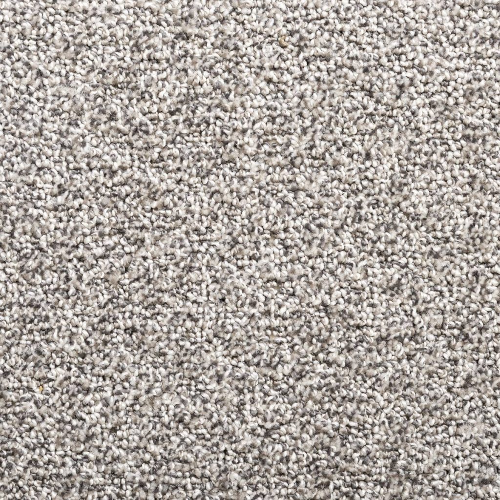 Photo of sheared loop carpet: Rhapsody Jubilation