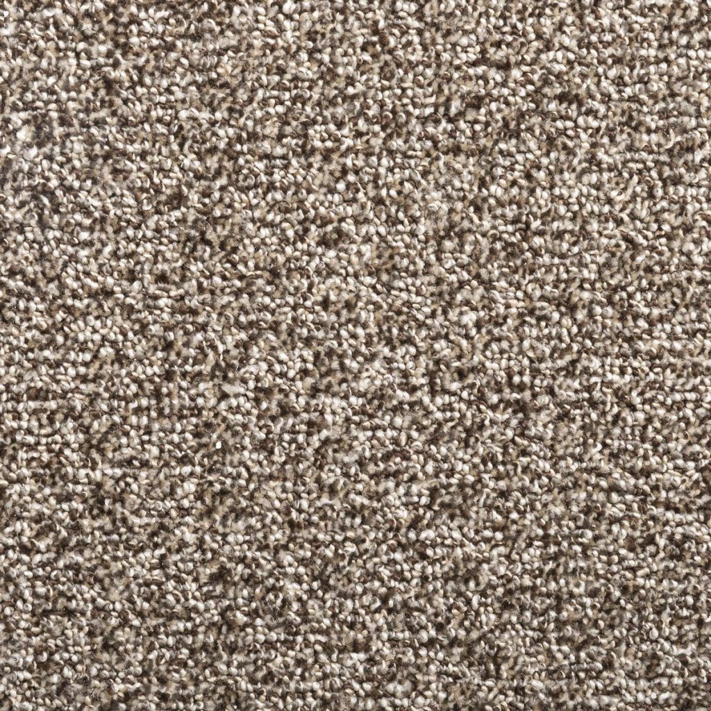 Photo of sheared loop carpet: Rhapsody Lyrical
