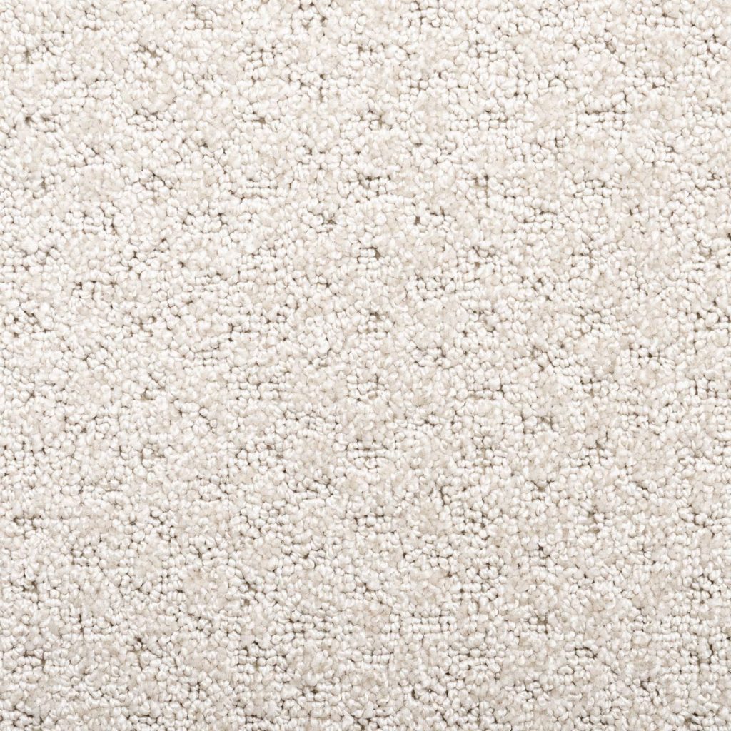 Photo of sheared loop carpet: Rhapsody Rapture