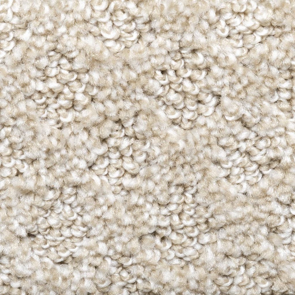 Photo of cut & loop carpet: Rockport Wind Song