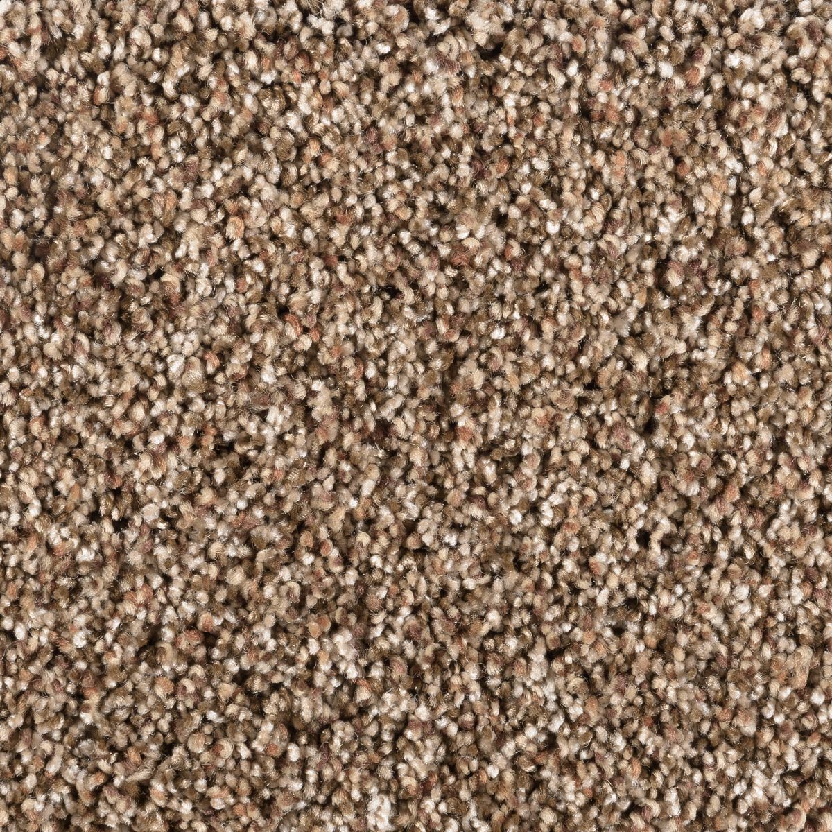 Lakepoint 626 Brown carpet